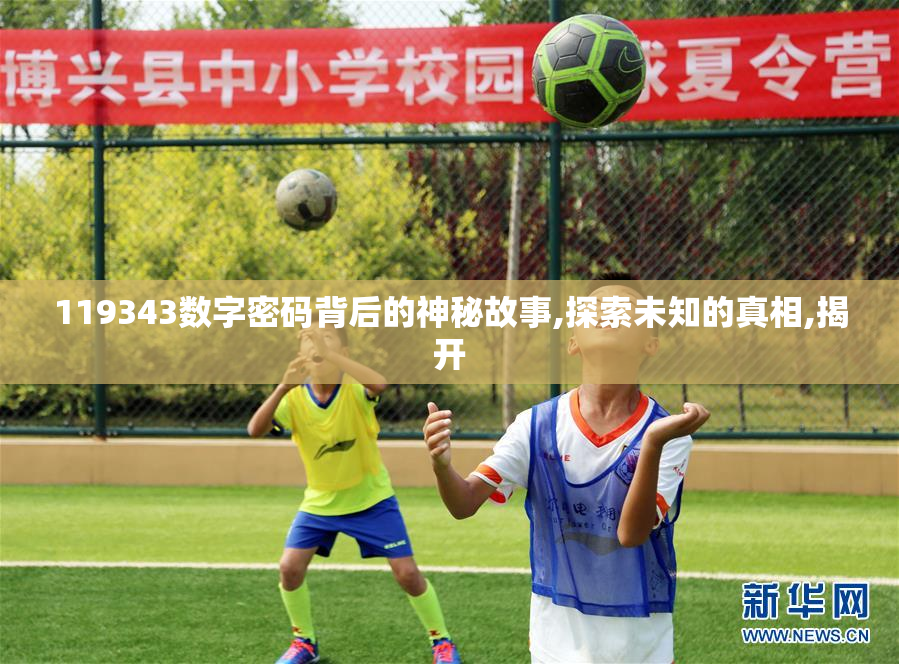 119343数字密码背后的神秘故事,探索未知的真相,揭开