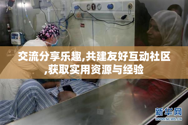 交流分享乐趣,共建友好互动社区,获取实用资源与经验
