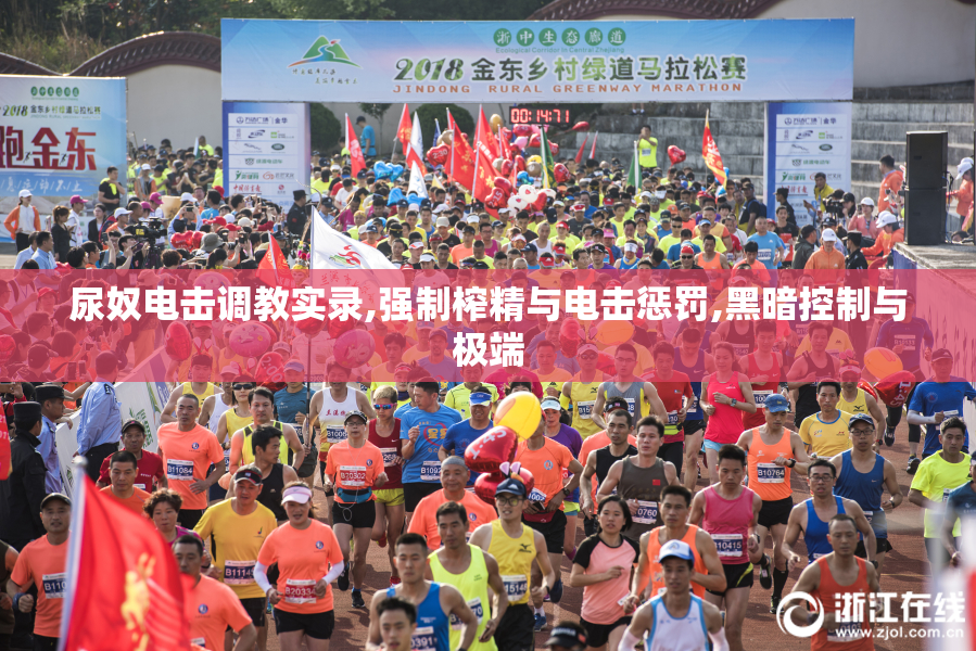 尿奴电击调教实录,强制榨精与电击惩罚,黑暗控制与极端