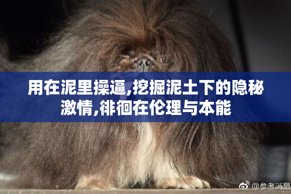 用在泥里操逼,挖掘泥土下的隐秘激情,徘徊在伦理与本能