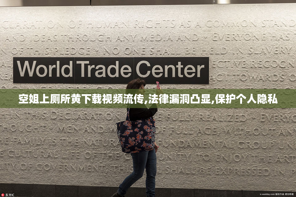 空姐上厕所黄下载视频流传,法律漏洞凸显,保护个人隐私