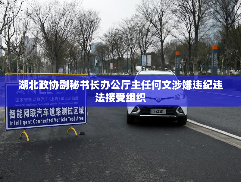 湖北政协副秘书长办公厅主任何文涉嫌违纪违法接受组织