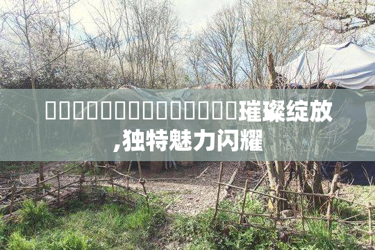 馃崙馃崙馃崙馃崙馃崒馃崒馃崒璀璨绽放,独特魅力闪耀