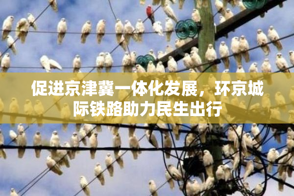 促进京津冀一体化发展，环京城际铁路助力民生出行