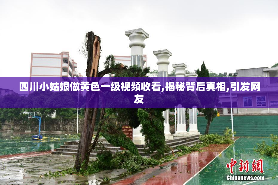 四川小姑娘做黄色一级视频收看,揭秘背后真相,引发网友