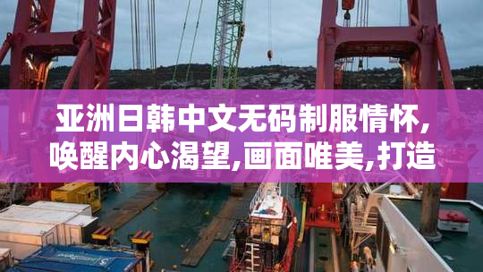 亚洲日韩中文无码制服情怀,唤醒内心渴望,画面唯美,打造梦幻般的