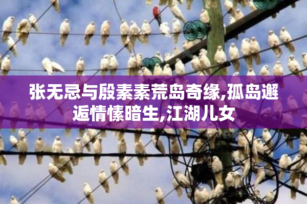 张无忌与殷素素荒岛奇缘,孤岛邂逅情愫暗生,江湖儿女