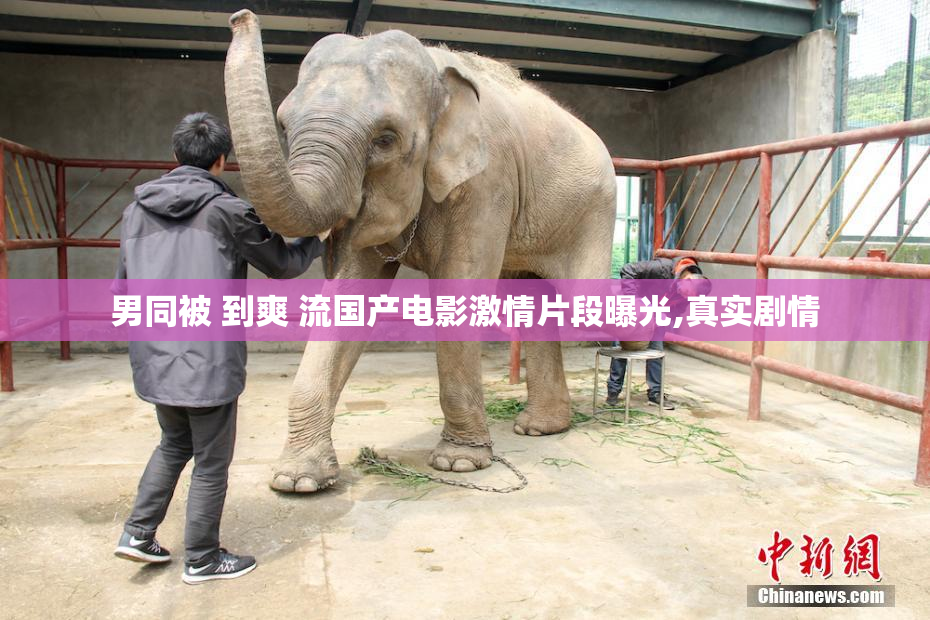 男同被 到爽 流国产电影激情片段曝光,真实剧情