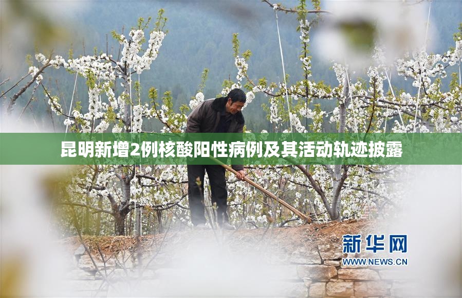 昆明新增2例核酸阳性病例及其活动轨迹披露