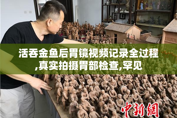 活吞金鱼后胃镜视频记录全过程,真实拍摄胃部检查,罕见