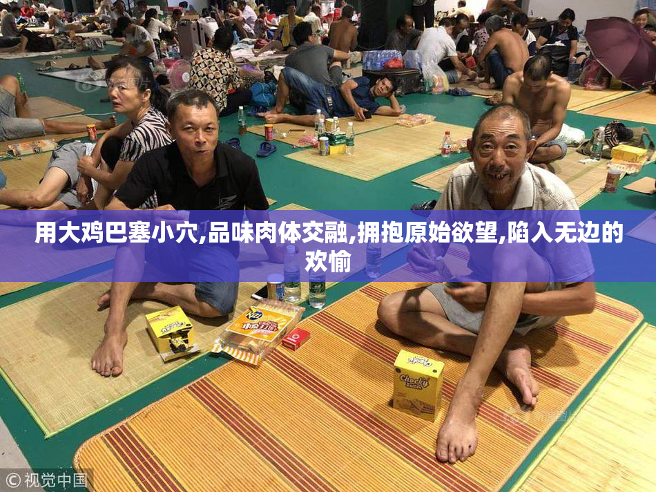 用大鸡巴塞小穴,品味肉体交融,拥抱原始欲望,陷入无边的欢愉