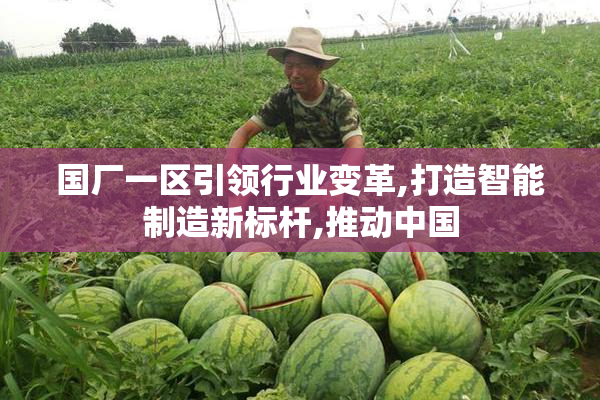 国厂一区引领行业变革,打造智能制造新标杆,推动中国