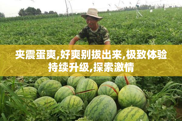 夹震蛋爽,好爽别拔出来,极致体验持续升级,探索激情