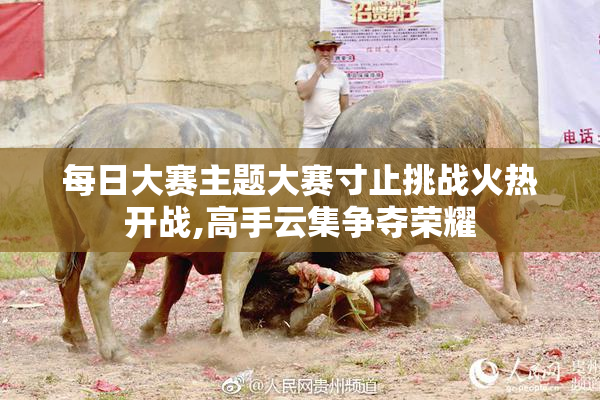 每日大赛主题大赛寸止挑战火热开战,高手云集争夺荣耀