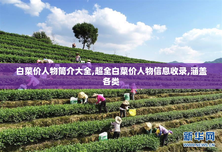 白菜价人物简介大全,超全白菜价人物信息收录,涵盖各类