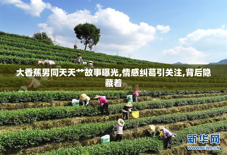 大香蕉男同天天艹故事曝光,情感纠葛引关注,背后隐藏着