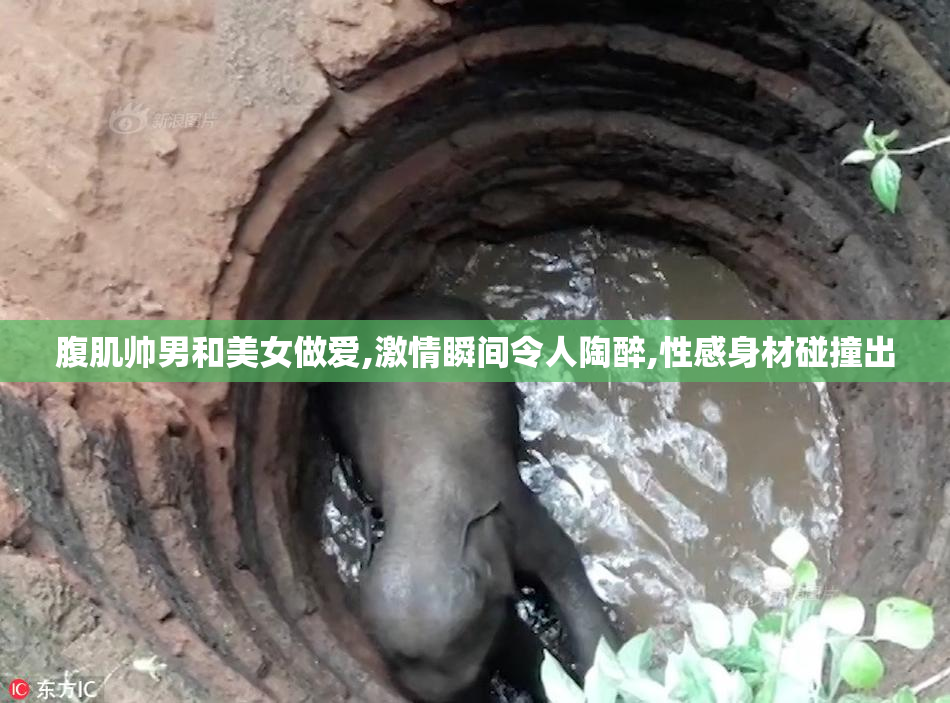 腹肌帅男和美女做爱,激情瞬间令人陶醉,性感身材碰撞出