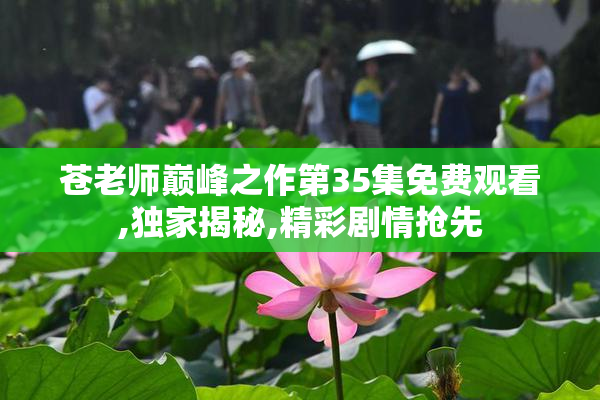 苍老师巅峰之作第35集免费观看,独家揭秘,精彩剧情抢先