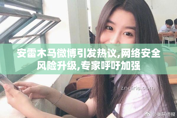 安雷木马微博引发热议,网络安全风险升级,专家呼吁加强