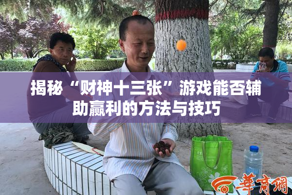 揭秘“财神十三张”游戏能否辅助赢利的方法与技巧