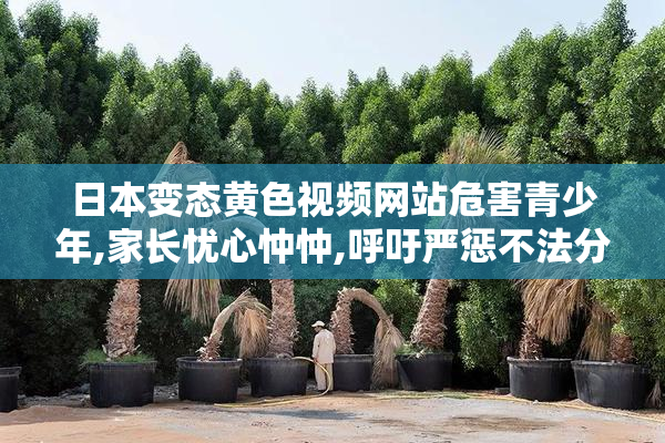 日本变态黄色视频网站危害青少年,家长忧心忡忡,呼吁严惩不法分子