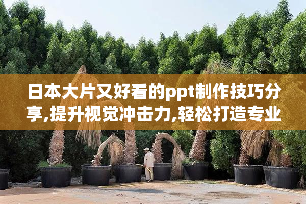 日本大片又好看的ppt制作技巧分享,提升视觉冲击力,轻松打造专业级