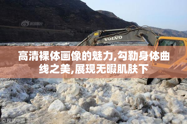 高清裸体画像的魅力,勾勒身体曲线之美,展现无暇肌肤下