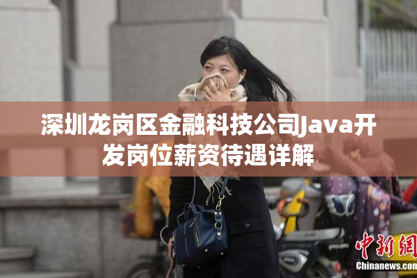 深圳龙岗区金融科技公司Java开发岗位薪资待遇详解