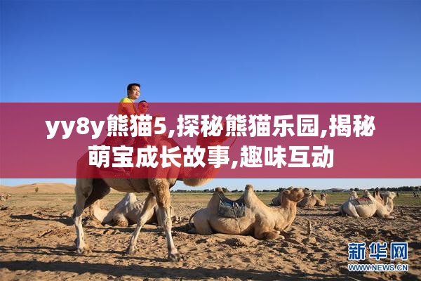 yy8y熊猫5,探秘熊猫乐园,揭秘萌宝成长故事,趣味互动