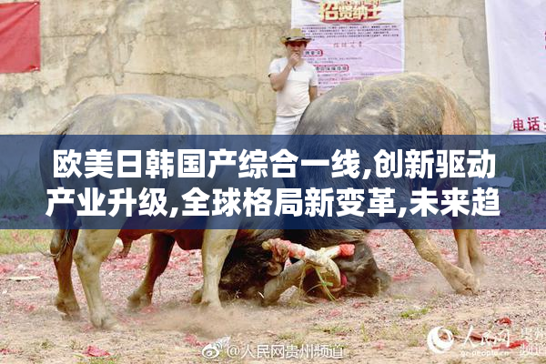 欧美日韩国产综合一线,创新驱动产业升级,全球格局新变革,未来趋势