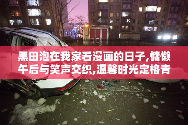 黑田泡在我家看漫画的日子,慵懒午后与笑声交织,温馨时光定格青春
