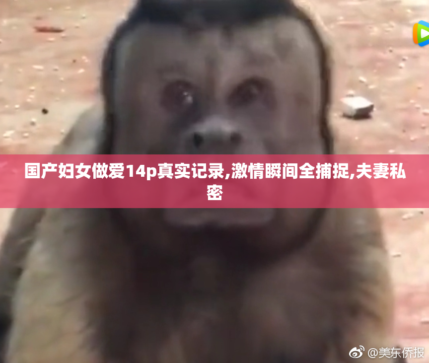 国产妇女做爱14p真实记录,激情瞬间全捕捉,夫妻私密