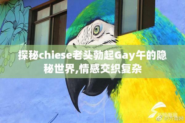 探秘chiese老头勃起Gay午的隐秘世界,情感交织复杂