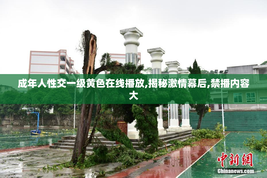 成年人性交一级黄色在线播放,揭秘激情幕后,禁播内容大