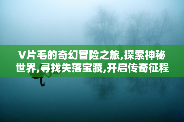V片毛的奇幻冒险之旅,探索神秘世界,寻找失落宝藏,开启传奇征程