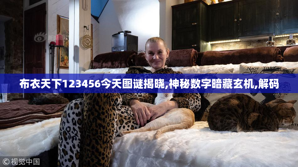 布衣天下123456今天图谜揭晓,神秘数字暗藏玄机,解码