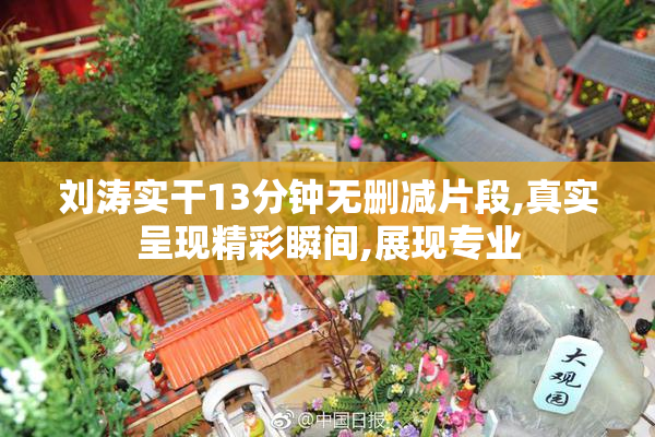 刘涛实干13分钟无删减片段,真实呈现精彩瞬间,展现专业