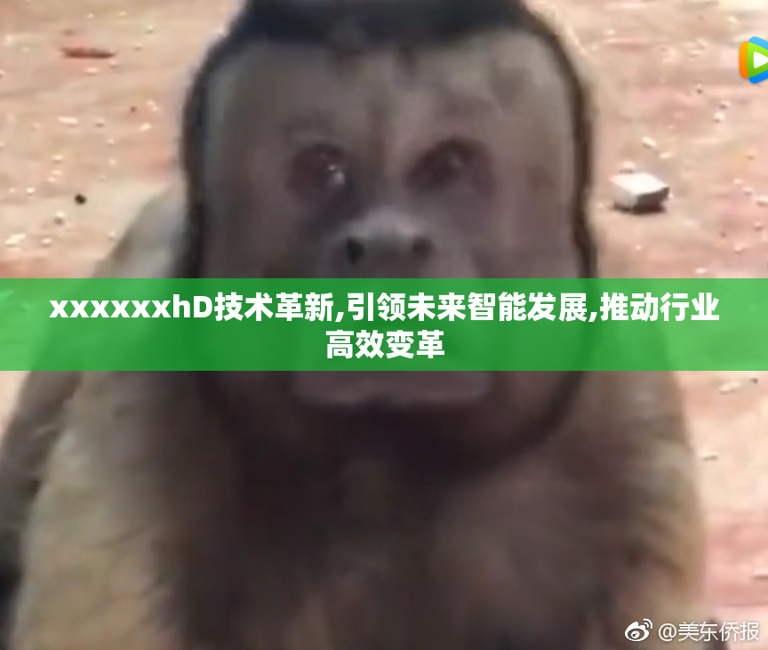 xxxxxxhD技术革新,引领未来智能发展,推动行业高效变革