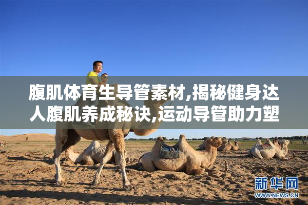 腹肌体育生导管素材,揭秘健身达人腹肌养成秘诀,运动导管助力塑形