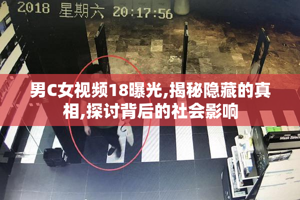 男C女视频18曝光,揭秘隐藏的真相,探讨背后的社会影响
