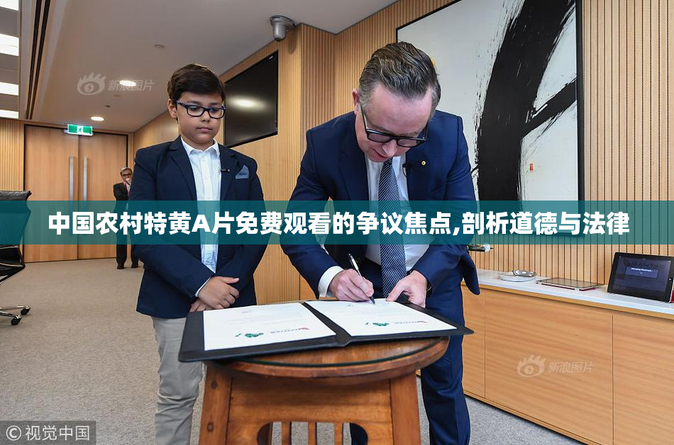 中国农村特黄A片免费观看的争议焦点,剖析道德与法律