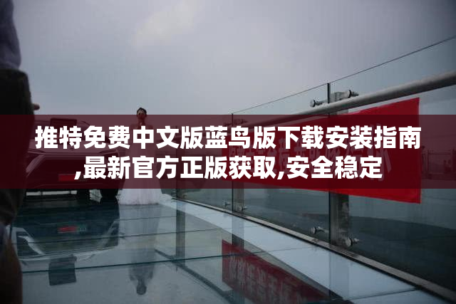 推特免费中文版蓝鸟版下载安装指南,最新官方正版获取,安全稳定