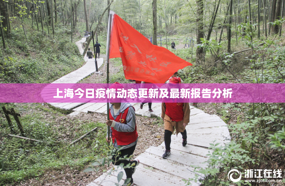 上海今日疫情动态更新及最新报告分析