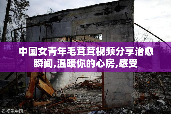 中国女青年毛茸茸视频分享治愈瞬间,温暖你的心房,感受