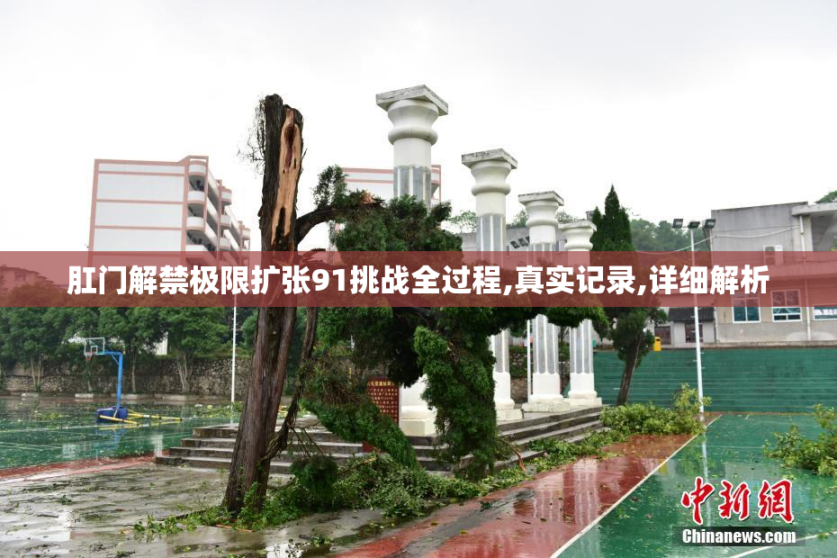 肛门解禁极限扩张91挑战全过程,真实记录,详细解析