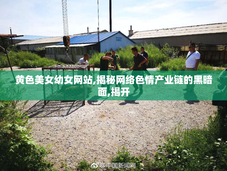 黄色美女幼女网站,揭秘网络色情产业链的黑暗面,揭开