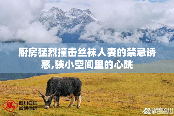 厨房猛烈撞击丝袜人妻的禁忌诱惑,狭小空间里的心跳