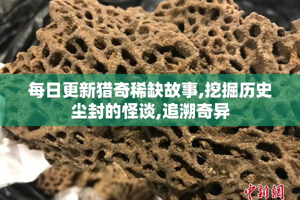 每日更新猎奇稀缺故事,挖掘历史尘封的怪谈,追溯奇异