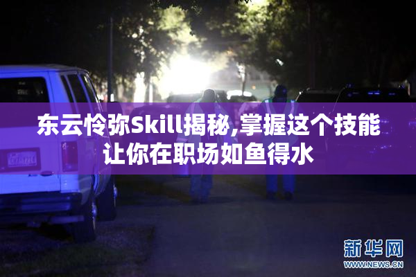 东云怜弥Skill揭秘,掌握这个技能让你在职场如鱼得水