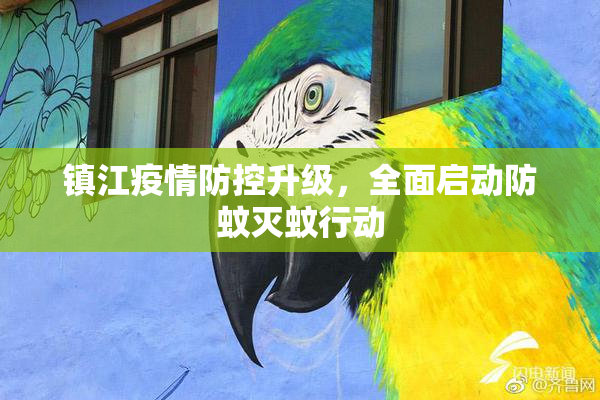 镇江疫情防控升级，全面启动防蚊灭蚊行动